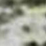 3' X 5' Green Gray And Ivory Abstract Washable Area Rug With UV Protection - HomeRoots - Flyclothing LLC
