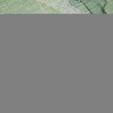 5' X 8' Green And Ivory Abstract Washable Area Rug With UV Protection - HomeRoots - Flyclothing LLC