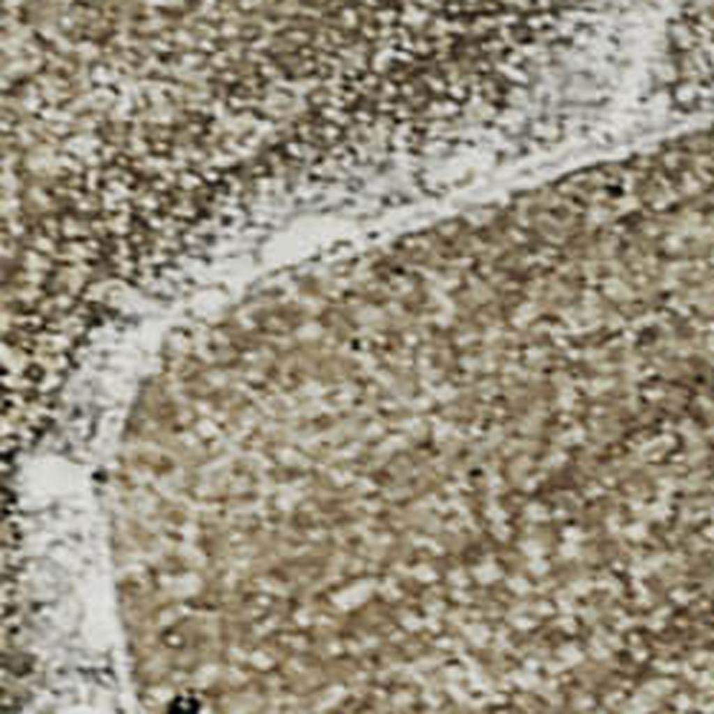 3' X 5' Brown Ivory And Gray Abstract Washable Area Rug With UV Protection - HomeRoots - Flyclothing LLC