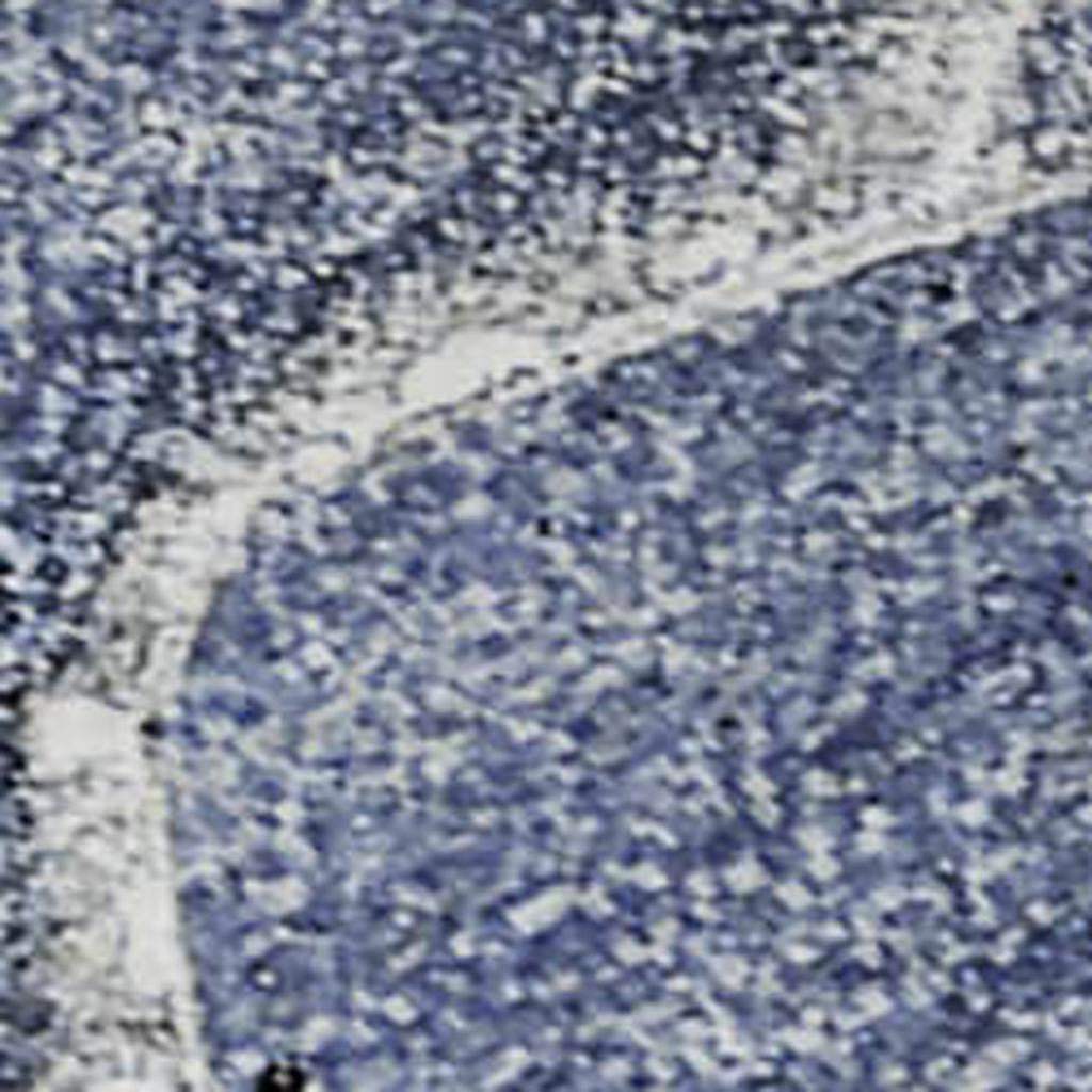 3' X 5' Navy Blue And Ivory Abstract Washable Area Rug With UV Protection - HomeRoots - Flyclothing LLC