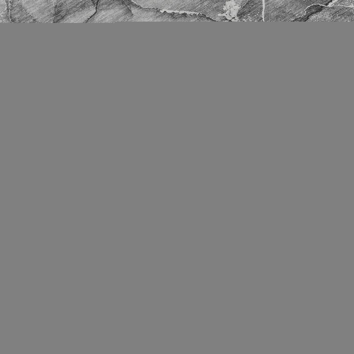 8' X 10' Pewter And Ivory Abstract Washable Area Rug With UV Protection - HomeRoots - Flyclothing LLC