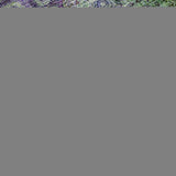 10' X 14' Purple Green And Ivory Floral Medallion Distressed Washable Area Rug With UV Protection - HomeRoots - Flyclothing LLC