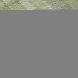 3' X 5' Green And Gray Plaid Washable Area Rug With UV Protection - HomeRoots - Flyclothing LLC
