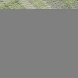 8' X 10' Green And Gray Plaid Washable Area Rug With UV Protection - HomeRoots - Flyclothing LLC