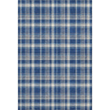 5' X 8' Navy Blue And Ivory Plaid Washable Area Rug With UV Protection - HomeRoots - Flyclothing LLC