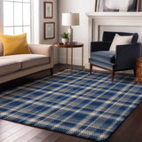 10' X 14' Navy Blue And Ivory Plaid Washable Area Rug With UV Protection - HomeRoots - Flyclothing LLC