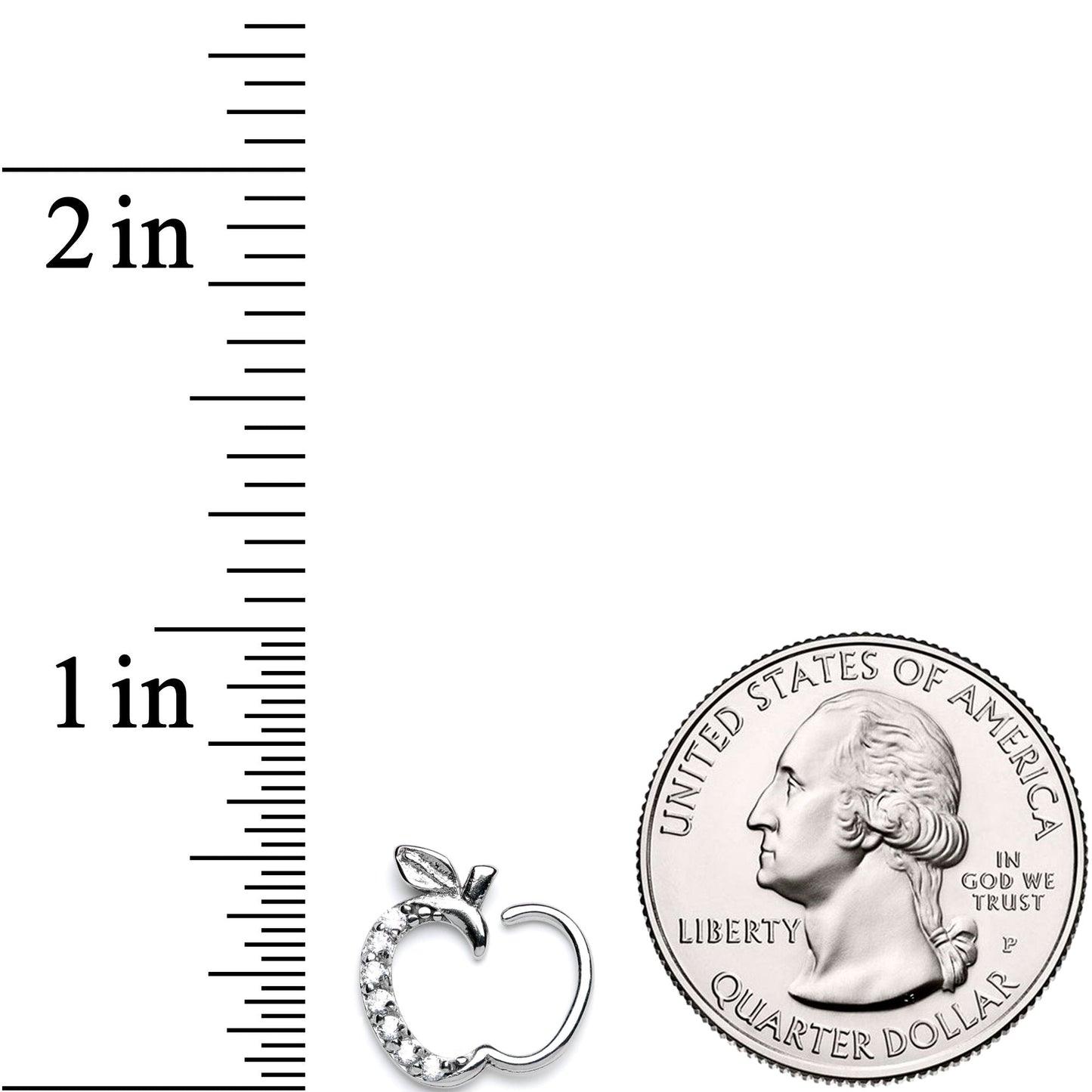 16G 3/8 Clear CZ Gem Tasty Treat Right Apple Closure Ring - BodyCandy - Flyclothing LLC