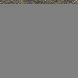 8' X 10' Chocolate And Gray Medallion Distressed Washable Area Rug With UV Protection - HomeRoots - Flyclothing LLC
