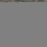 9' X 12' Chocolate And Gray Medallion Distressed Washable Area Rug With UV Protection - HomeRoots - Flyclothing LLC