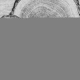 3' X 5' Gray And Ivory Faux Bois Washable Area Rug With UV Protection - HomeRoots - Flyclothing LLC