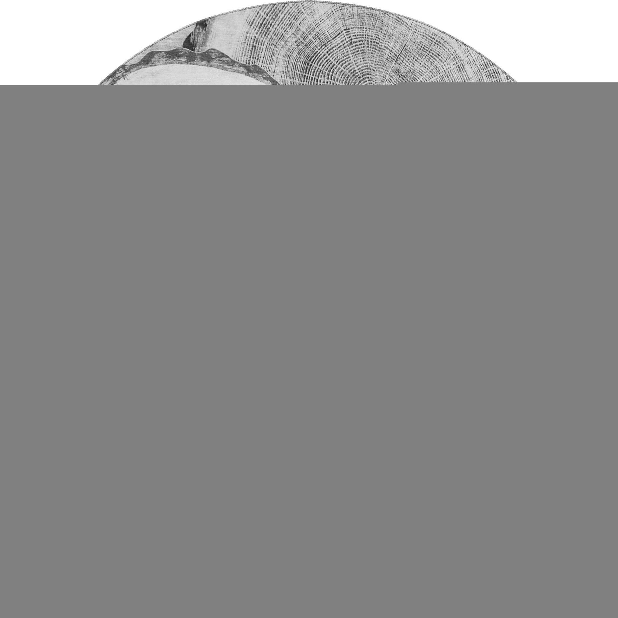 8' Gray And Ivory Faux Bois Washable Round Rug With UV Protection - HomeRoots - Flyclothing LLC
