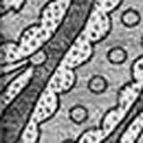 8' X 10' Gray And Ivory Paisley Washable Area Rug With UV Protection - HomeRoots - Flyclothing LLC