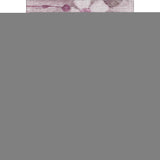 3' X 5' Plum And Ivory Floral Washable Area Rug With UV Protection - HomeRoots - Flyclothing LLC
