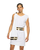 Roma Costume 2pc Gilded Greek God Costume 6636 - Roma Costume - Flyclothing LLC