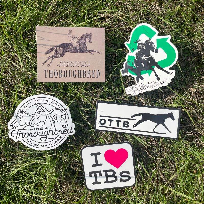 Dapplebay OTTB Sticker Pack - Breeches.com - Flyclothing LLC