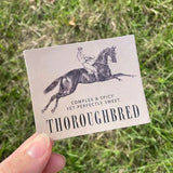 Dapplebay OTTB Sticker Pack - Breeches.com - Flyclothing LLC
