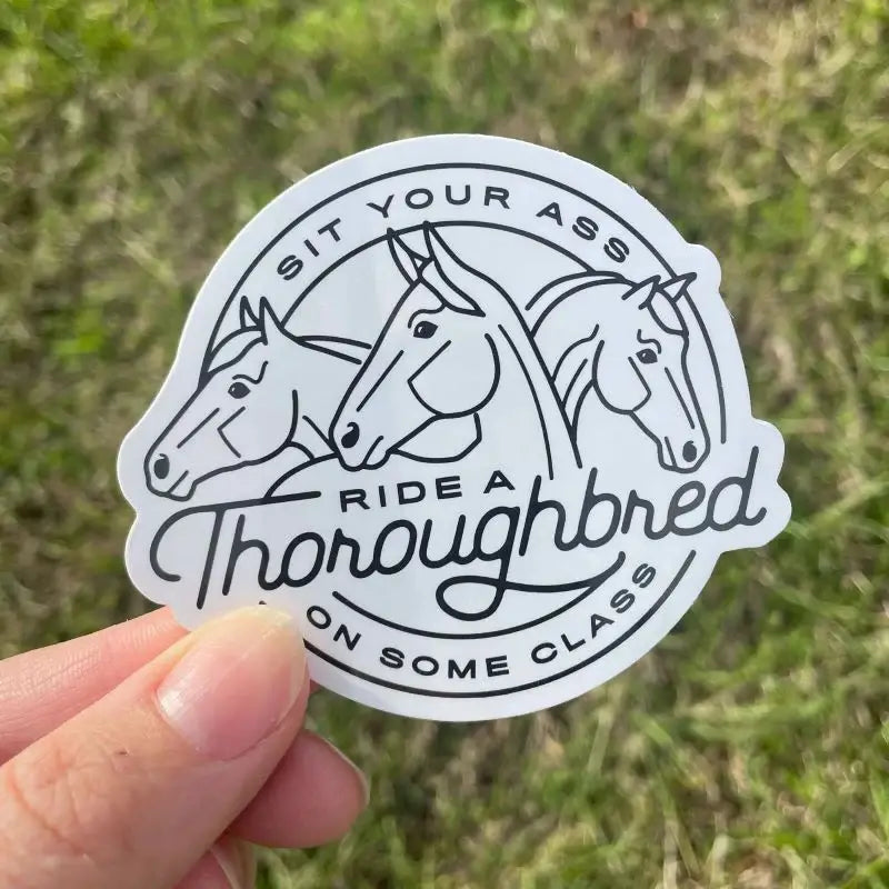 Dapplebay OTTB Sticker Pack - Breeches.com - Flyclothing LLC