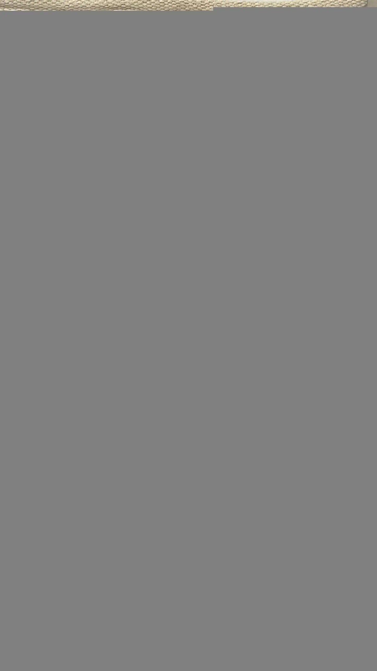 2' X 4' Natural And Gray Jute Geometric Hand Woven Area Rug - Homeroots - Flyclothing LLC