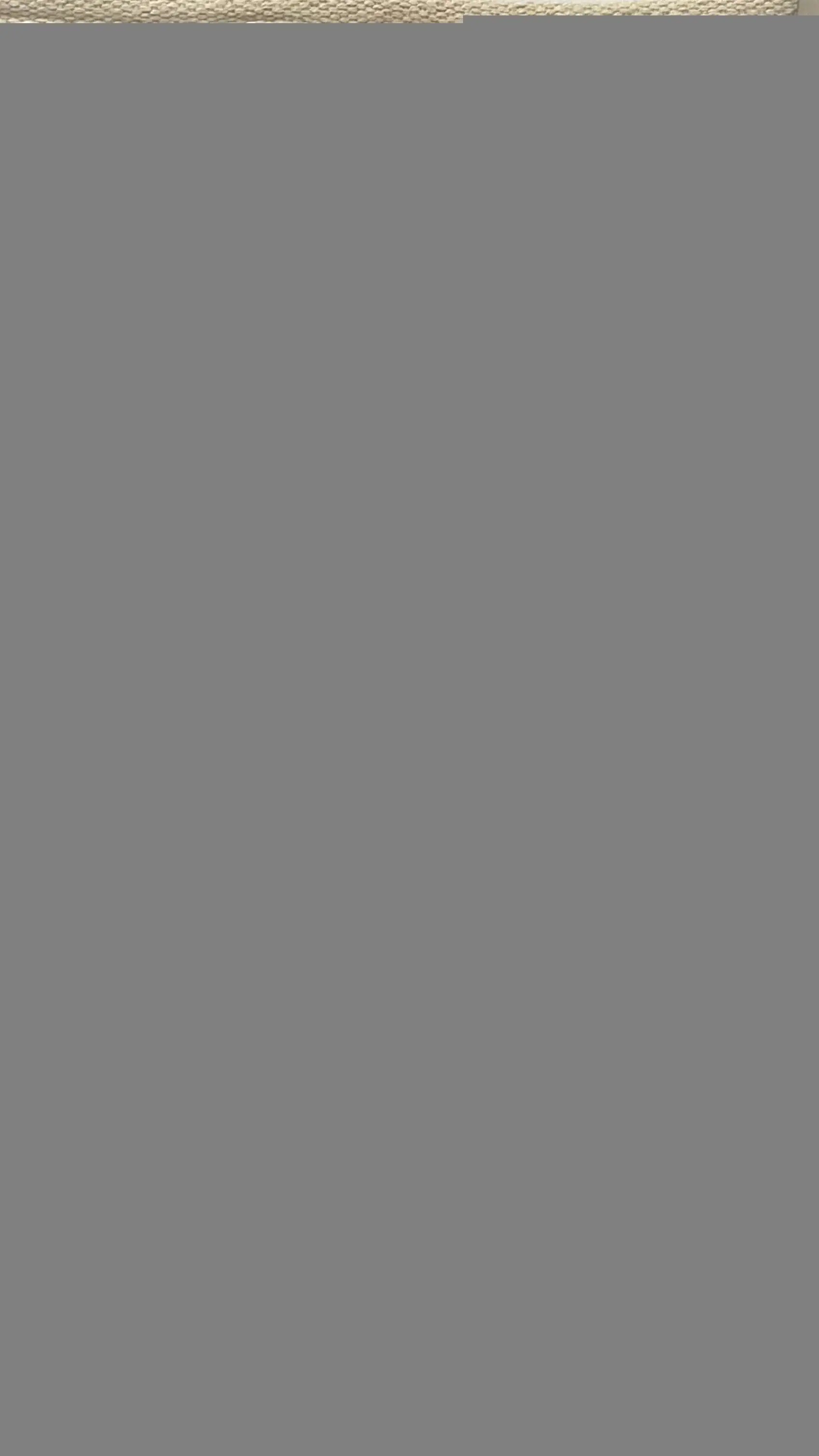 2' X 4' Natural And Gray Jute Geometric Hand Woven Area Rug - Homeroots - Flyclothing LLC