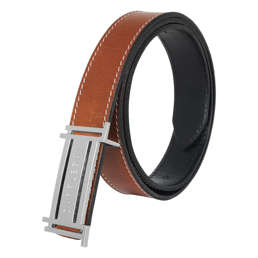 Dapplebay Reversible Jump Belt - Silver - Breeches.com - Flyclothing LLC
