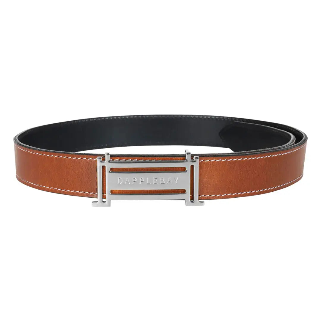 Dapplebay Reversible Jump Belt - Silver - Breeches.com - Flyclothing LLC