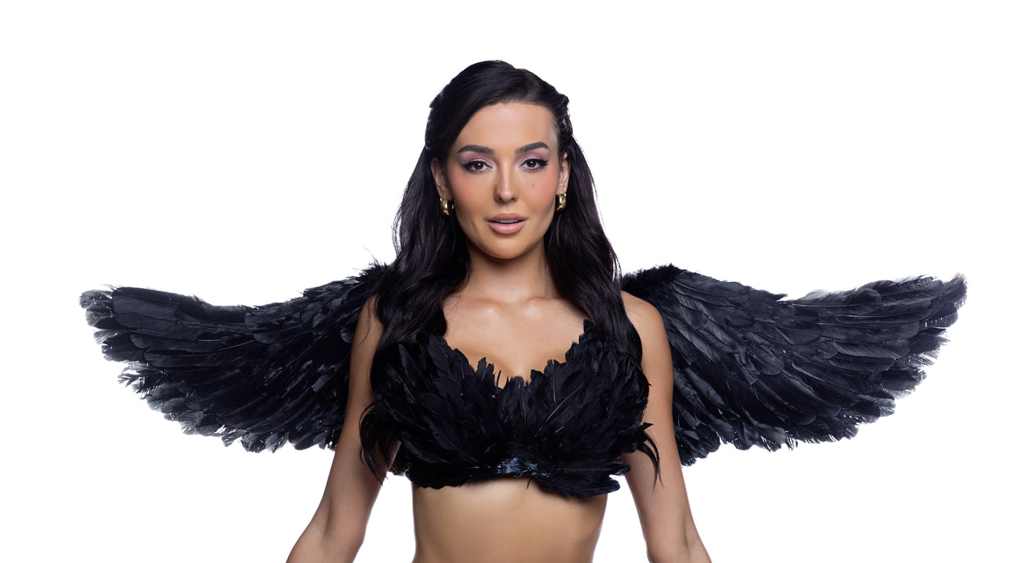 Roma Costume Wings Costume 6843 - Roma Costume - Flyclothing LLC