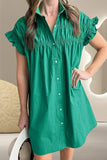 Collared Neck Flounce Sleeve Dress - Trendsi
