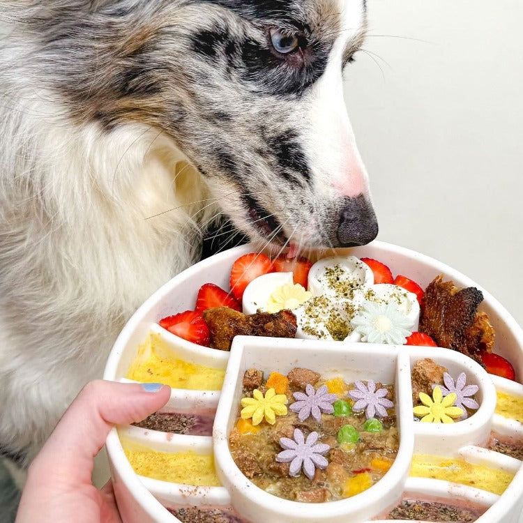 Java eBowl Deep Slow Feeder Dog Bowl for Enrichment | USA Made - SodaPup/True Dogs, LLC - Flyclothing LLC