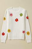 Crochet Flower Round Neck Long Sleeve Sweater - Trendsi - Flyclothing LLC