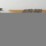 50" X 70" Brown And Ivory Geometric Polyester Woven Plush Throw Blanket - Homeroots - Flyclothing LLC