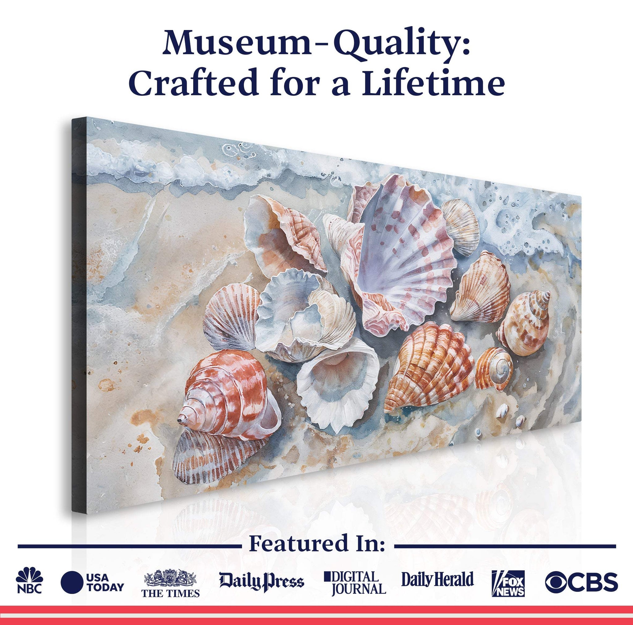 Sea Shells Modern Coastal Wall Art - Tailored Canvases - Flyclothing LLC