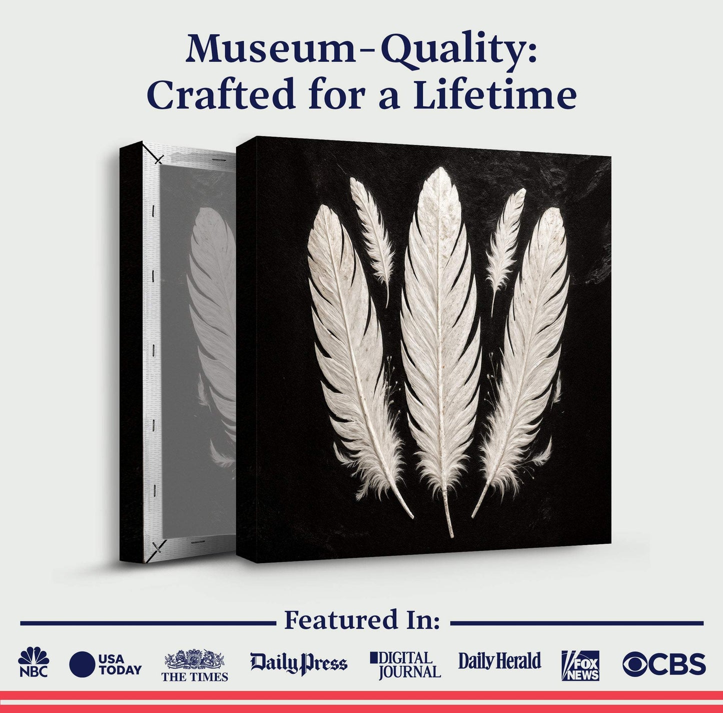 Minimalist Monochrome Feather Wall Art - Tailored Canvases - Flyclothing LLC