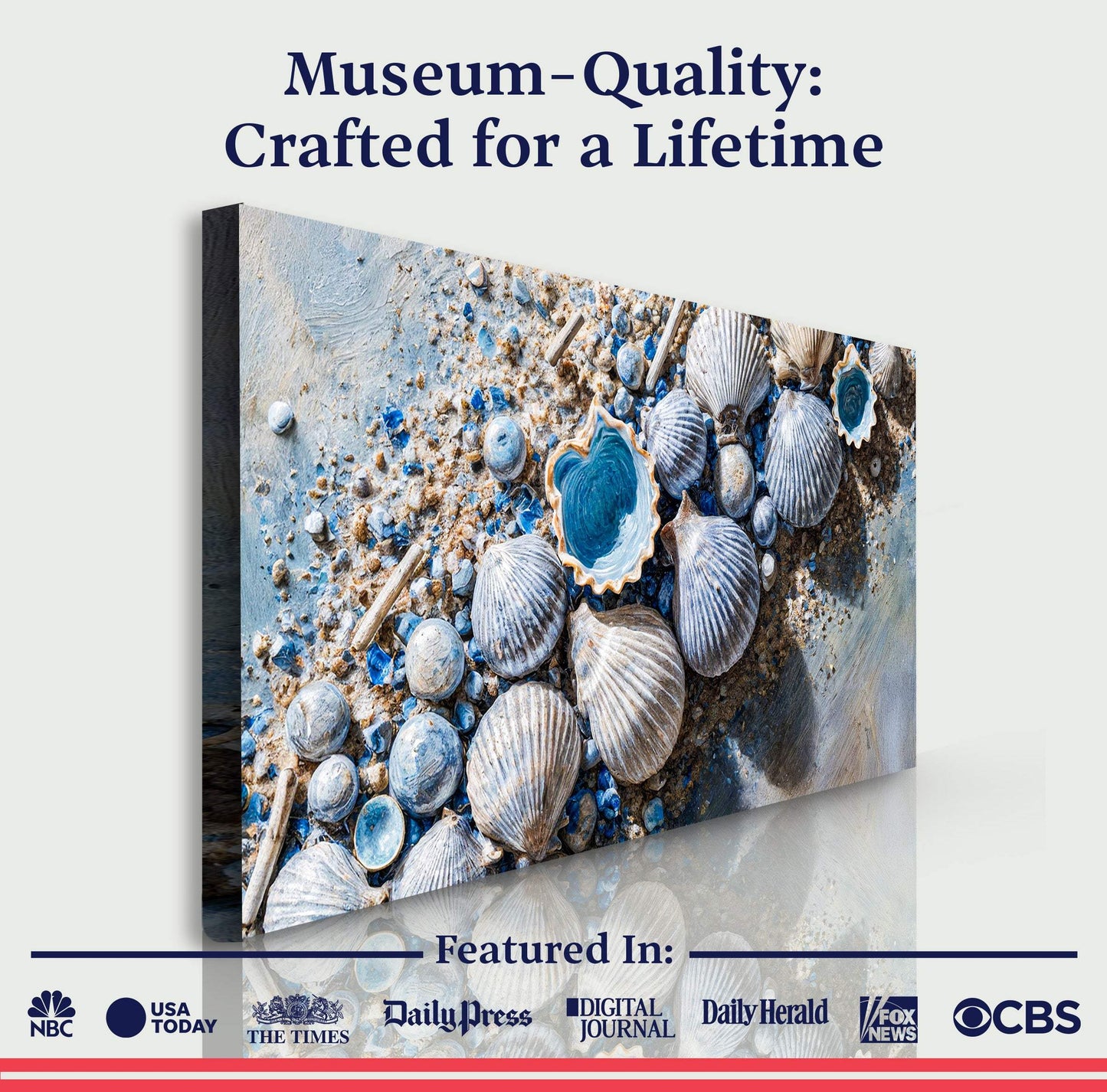 Sea Shells Modern Coastal Wall Art II - Tailored Canvases - Flyclothing LLC