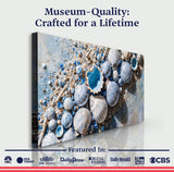 Sea Shells Modern Coastal Wall Art II - Tailored Canvases - Flyclothing LLC