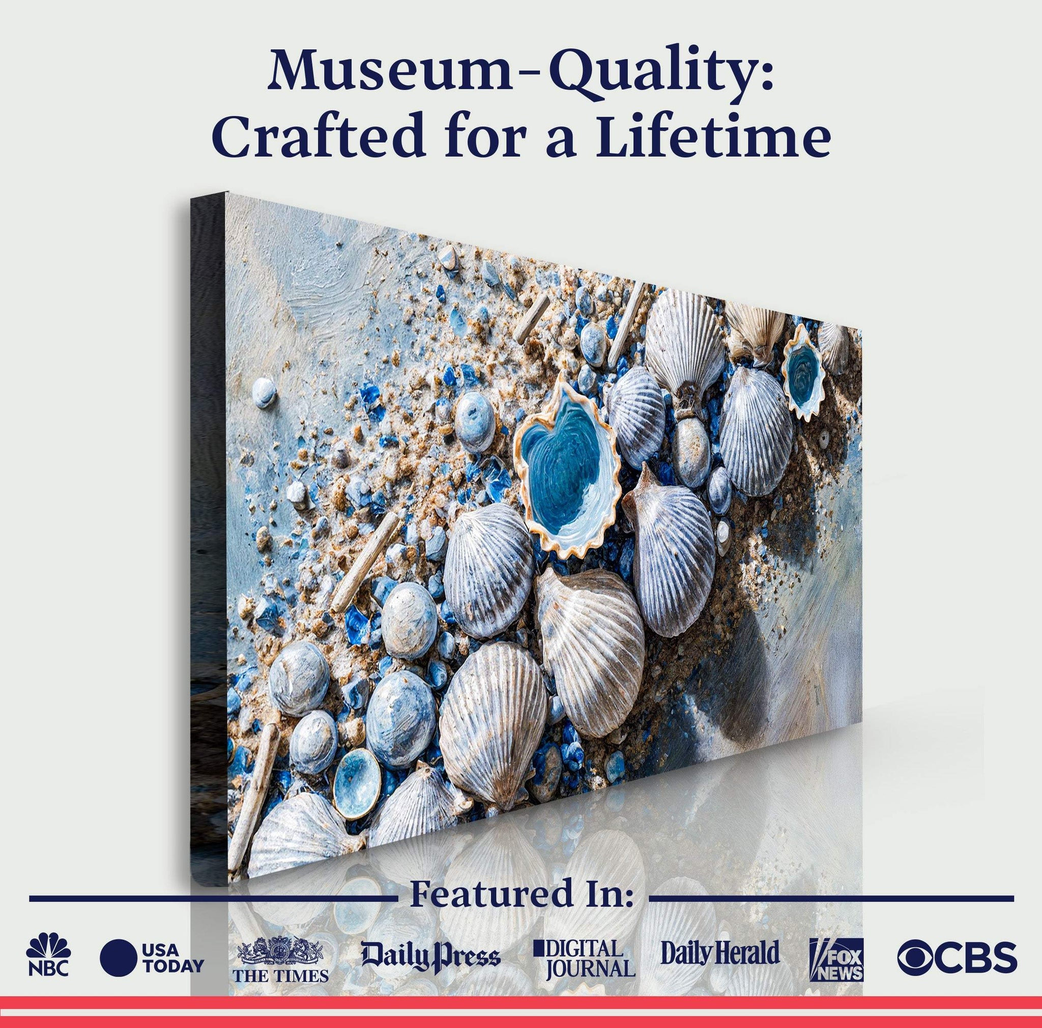 Sea Shells Modern Coastal Wall Art II - Tailored Canvases - Flyclothing LLC