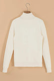 Turtleneck Long Sleeve Sweater - Trendsi - Flyclothing LLC
