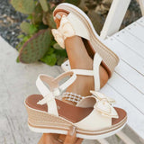 Peep Toe Wedge Sandals - Trendsi - Flyclothing LLC