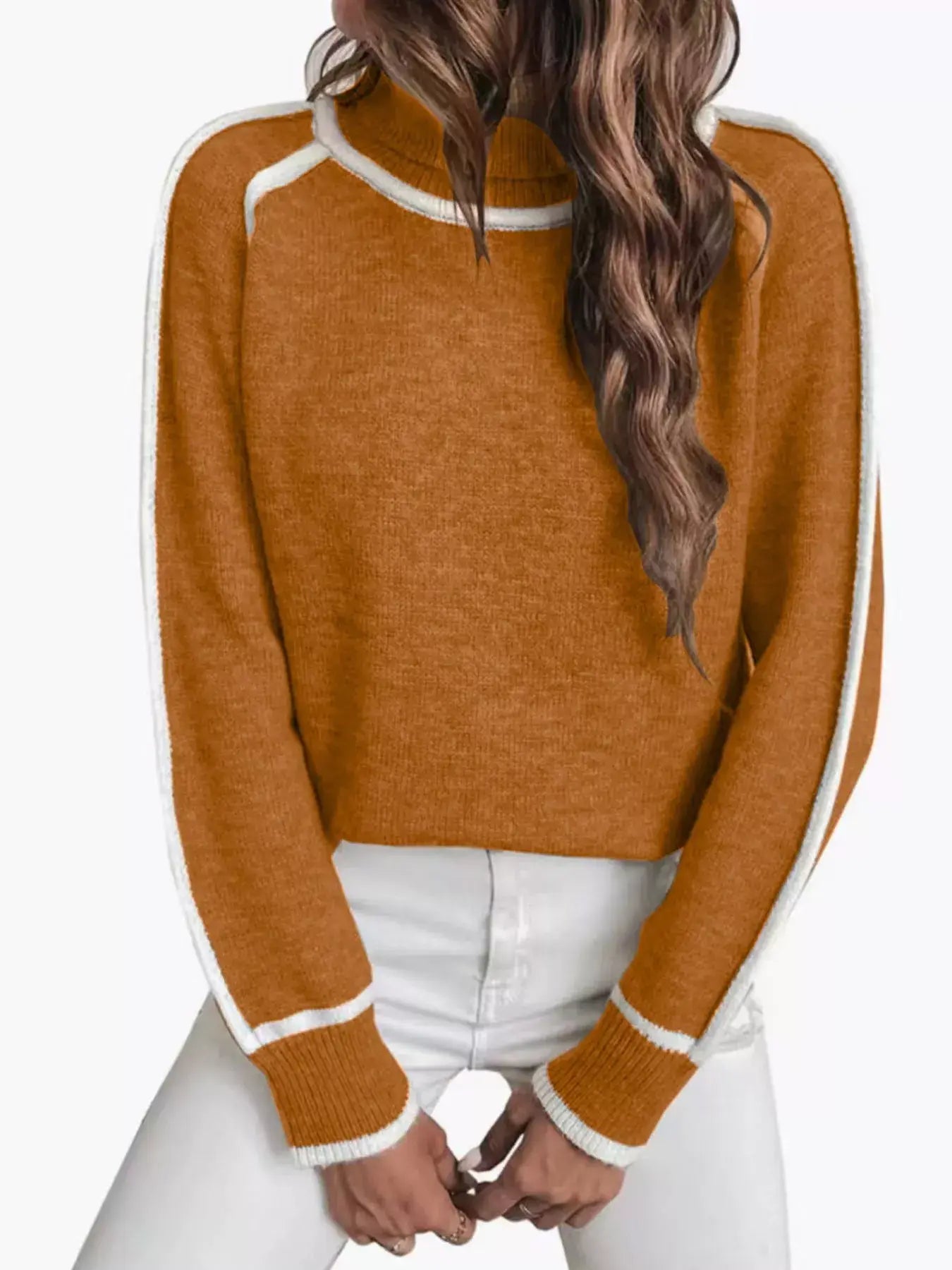 Full Size Turtleneck Contrast Trim Sweater Plus Size - Trendsi - Flyclothing LLC