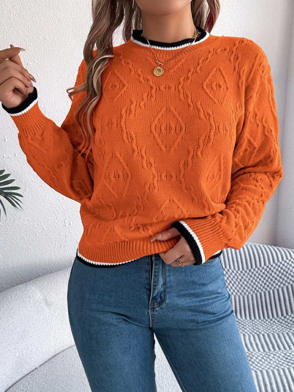 Contrast Trim Round Neck Long Sleeve Sweater - Trendsi - Flyclothing LLC