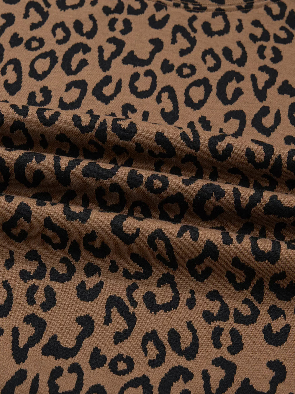 Striped Trim Leopard Long Sleeve Top Drawstring Pant Set - Trendsi - Flyclothing LLC