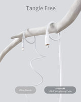Anker <b>641</b> USB-C to Lightning Cable (Flow, Silicone) - Anker - Flyclothing LLC