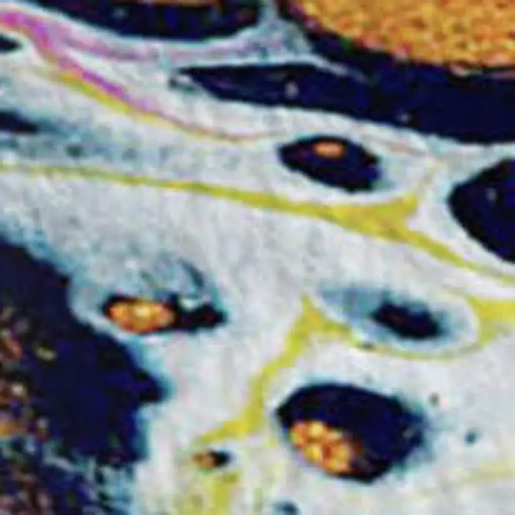 50" X 70" White Blue And Gold Abstract Microfiber Plush Throw Blanket - Homeroots - Flyclothing LLC