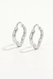 925 Sterling Silver Inlaid Zircon Earrings - Trendsi