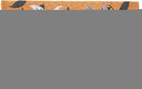 24" X 36" Brown Purple And White Floral Outdoor Coir Door Mat - Homeroots - Flyclothing LLC