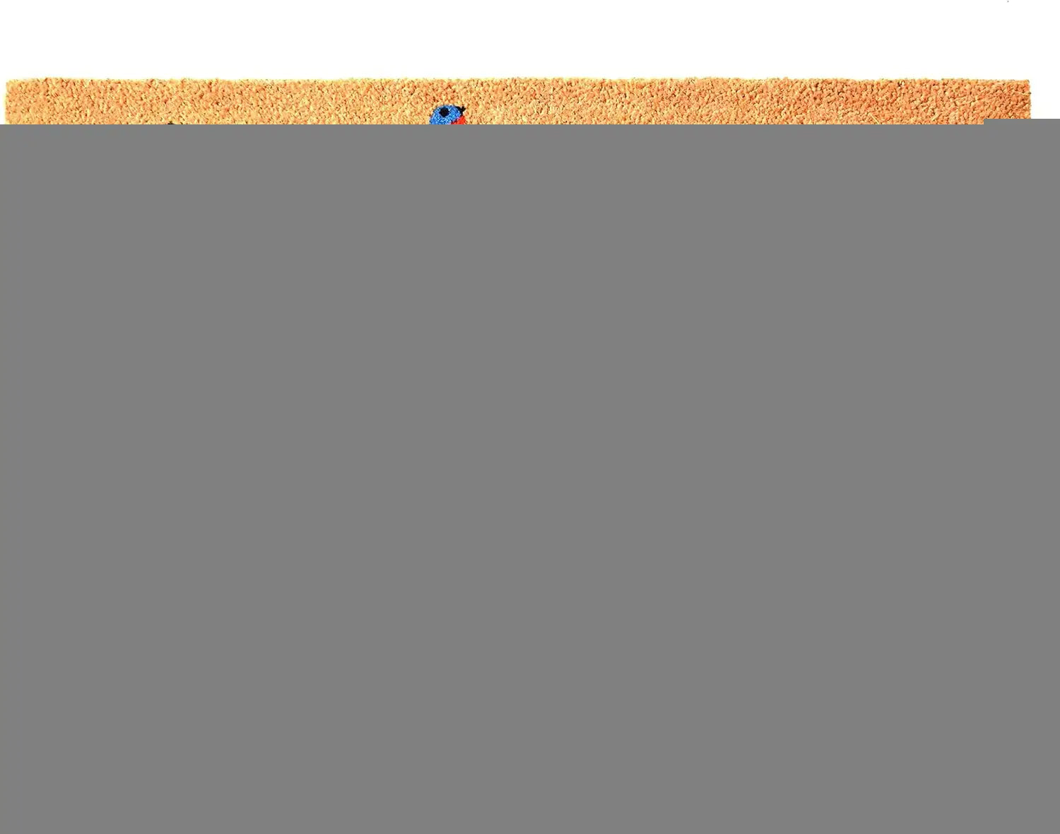 24" X 36" Brown And Orange Bicycle Floral Hello Outdoor Coir Door Mat - Homeroots - Flyclothing LLC