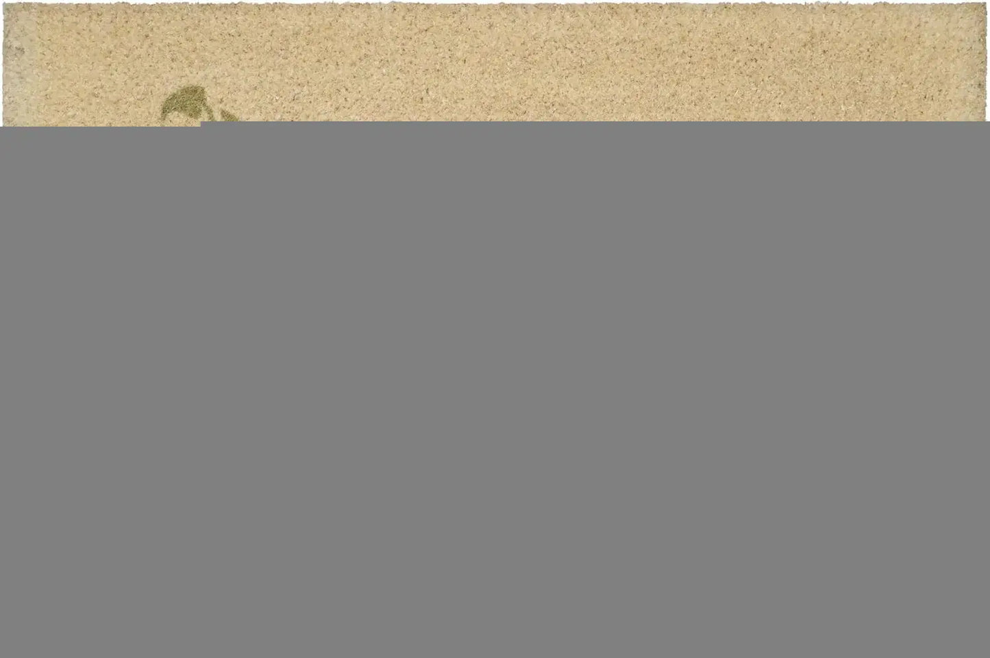 18" X 30" Brown Green And Purple Floral Outdoor Coir Door Mat - Homeroots - Flyclothing LLC