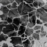 7' X 10' Black And Gray Abstract Area Rug With Fringe - Homeroots - Flyclothing LLC
