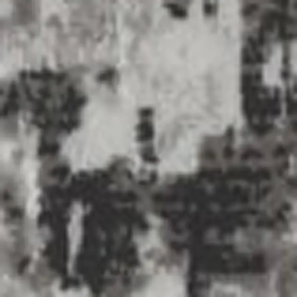5' X 8' Gray And White Abstract Distressed Area Rug With Fringe - Homeroots - Flyclothing LLC