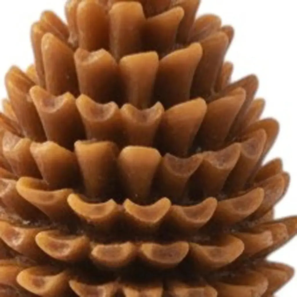 3" Brown Autumn Harvest Scented Dimensional Pinecone Candle - Homeroots - Flyclothing LLC