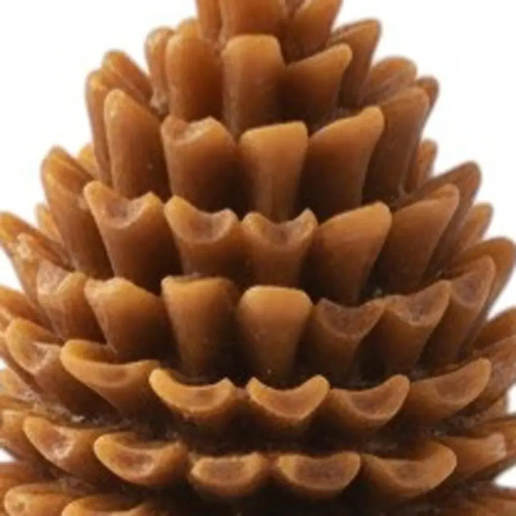 3" Brown Unscented Dimensional Pinecone Candle - Homeroots - Flyclothing LLC